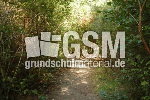 Museumsdorf Düppel_05.jpg